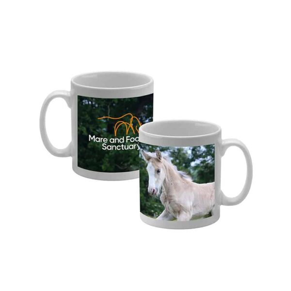 Diangelo Photo Mug