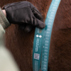 Equine weigh tape being used on a horse, held by a gloved hand.