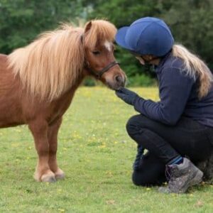 Sponsor a Pony