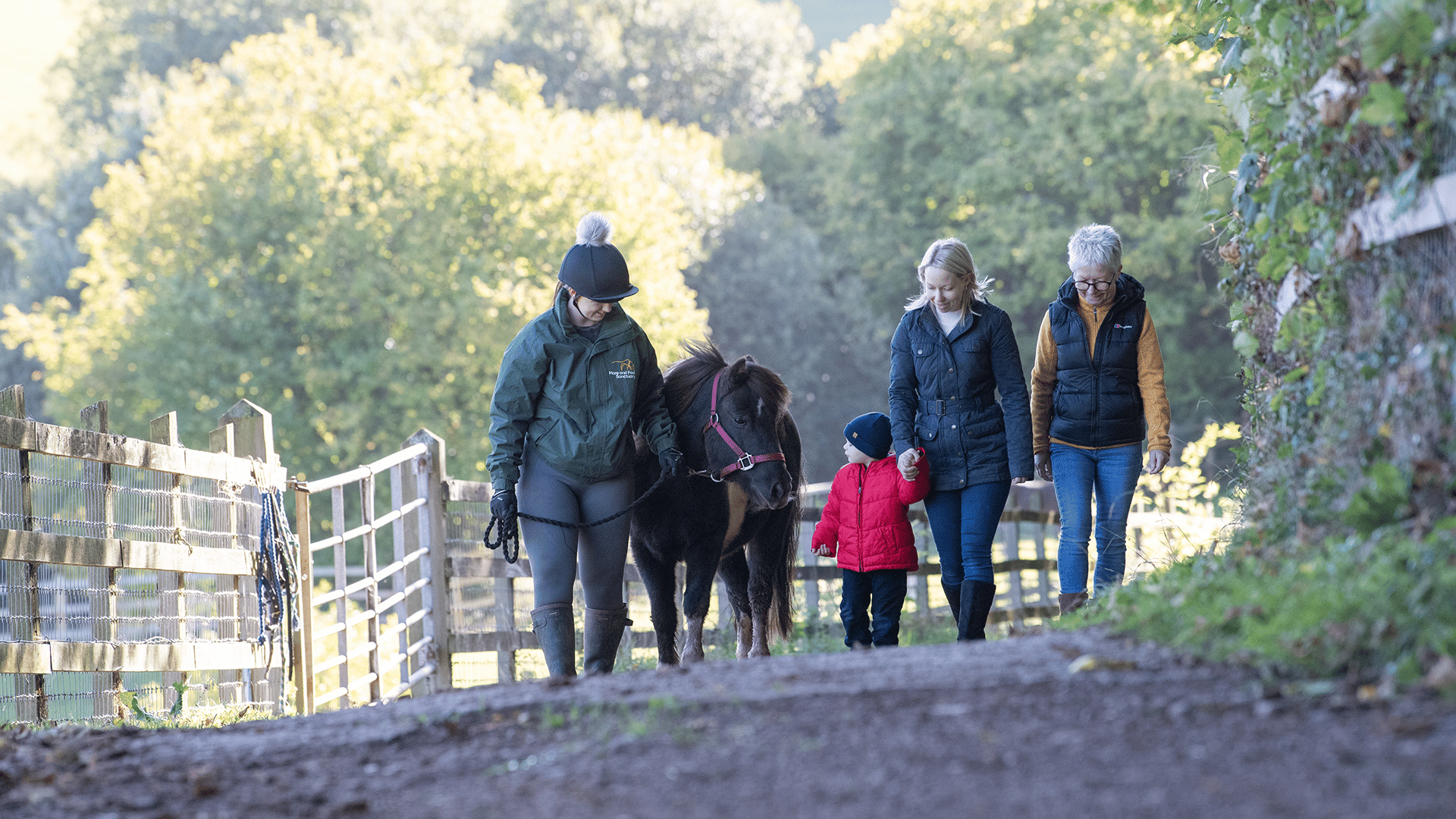 A photo of a Mare and Foal Sanctuary worker at Honeysuckle leading a tour for three visitors as they walk a pony through a sunny pasture with trees in the background.