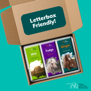 Chocolate bars with horse designs, supporting Mare and Foal charity on a teal background.