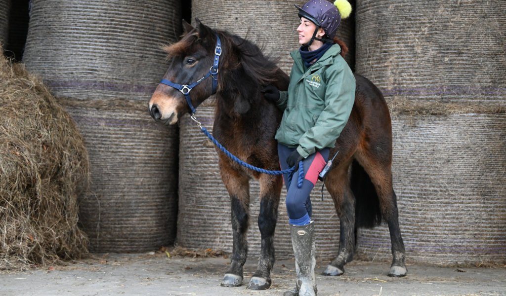 A bay gelding, Jago, stands with a Mare and Foal Sanctuary worker in front of hay bales.