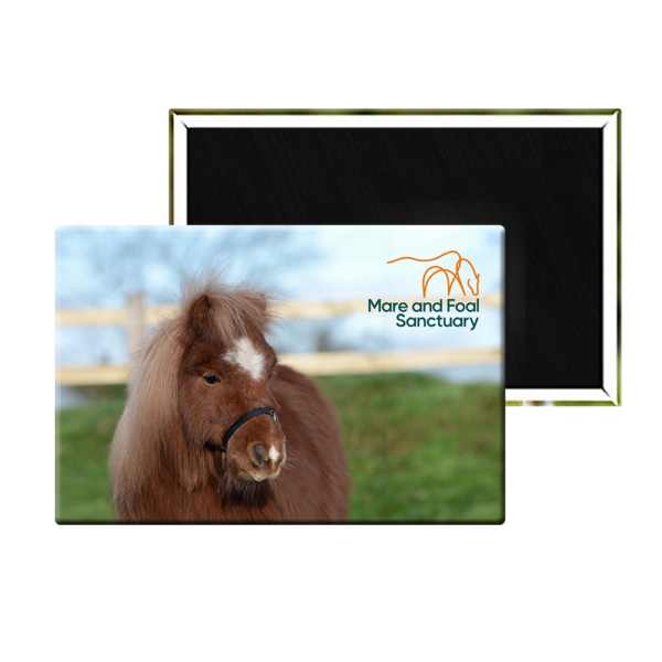 Fridge Magnet - Sponsorship Pony