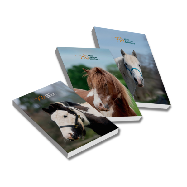 A6 Notepad - Sponsorship Pony