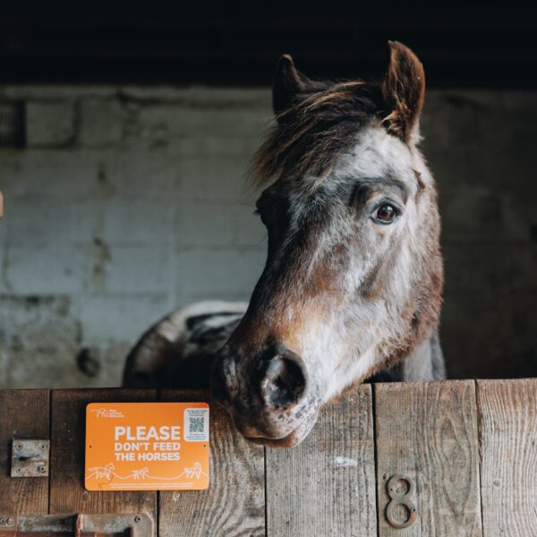 Don't Feed the Horses Sign - Image 2