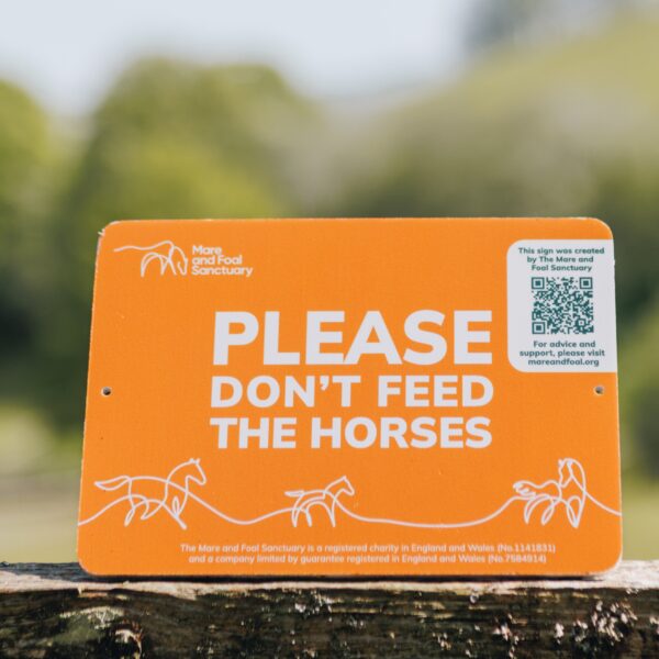 Don't Feed the Horses Sign